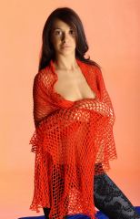 ������� � ������ Bridjit (16 ����)