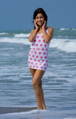 ����������� ����� Leyla �� �������� ����� (14 ����)