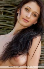 ����������� ������� ����� � ������� Renata (24 ����)