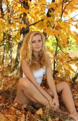 ������� ����� � �������� Elisa (20 ����)