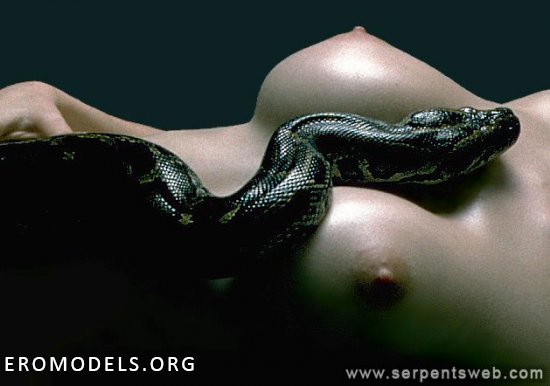 Эротика с опасными змеями (50 фото)